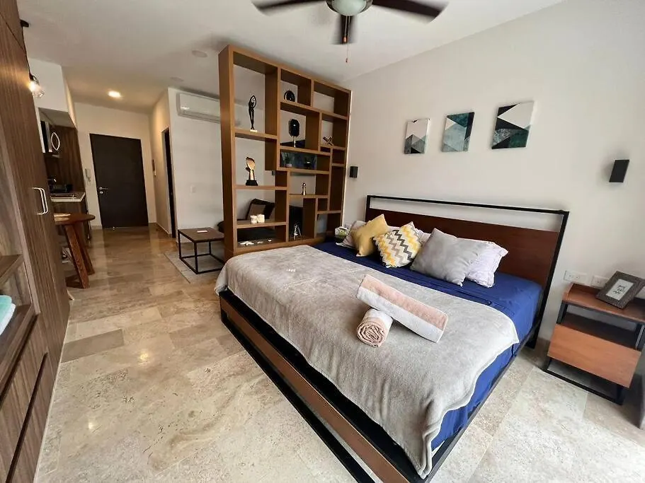 Encantador Departamento/Roof Top Vista Al Mar/Gym Apartment Playa del Carmen 0*,  Mexico