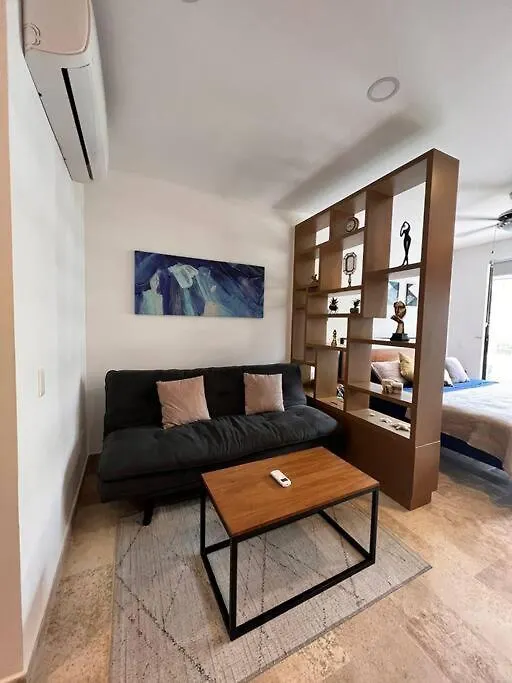 普拉亚卡门Encantador Departamento/Roof Top Vista Al Mar/Gym公寓 公寓