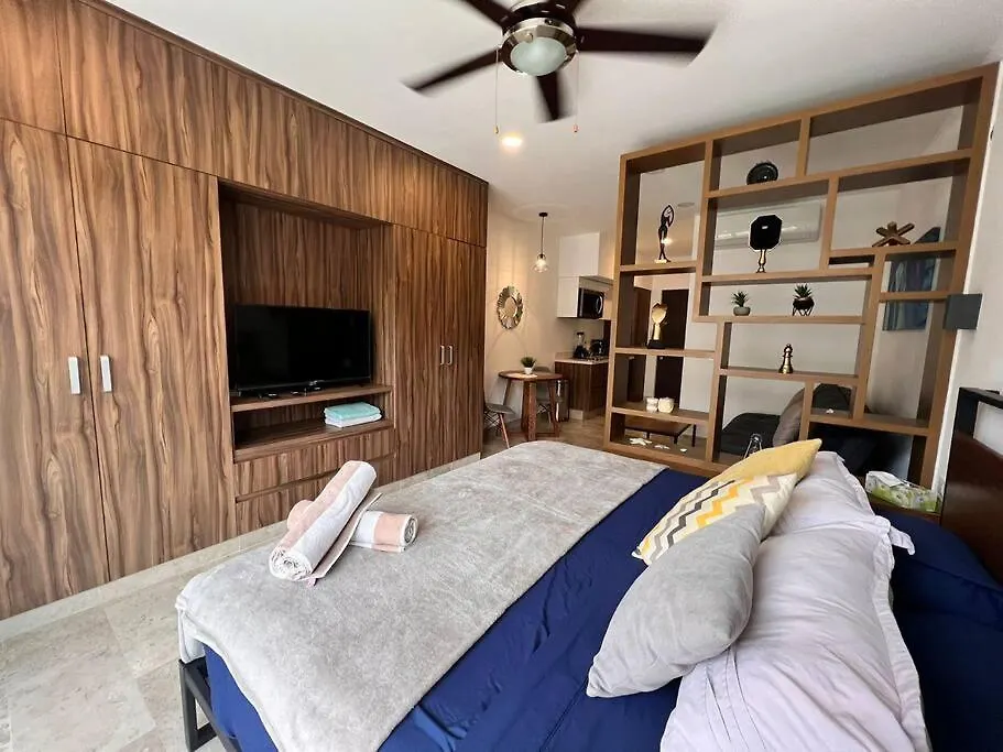 普拉亚卡门Encantador Departamento/Roof Top Vista Al Mar/Gym公寓 0*, 普拉亚卡门